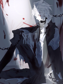 小红帽app直播平台官方